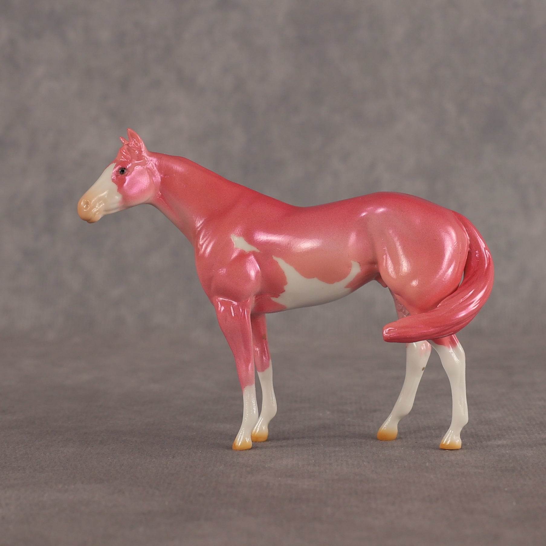 Baby OOAK FCM Chip Stock Horse by Erin Corbett EQ26