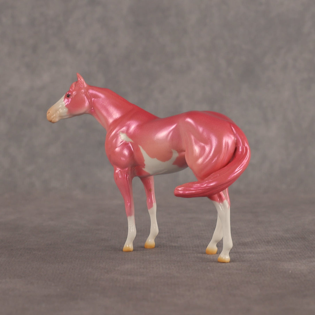 Baby OOAK FCM Chip Stock Horse by Erin Corbett EQ26