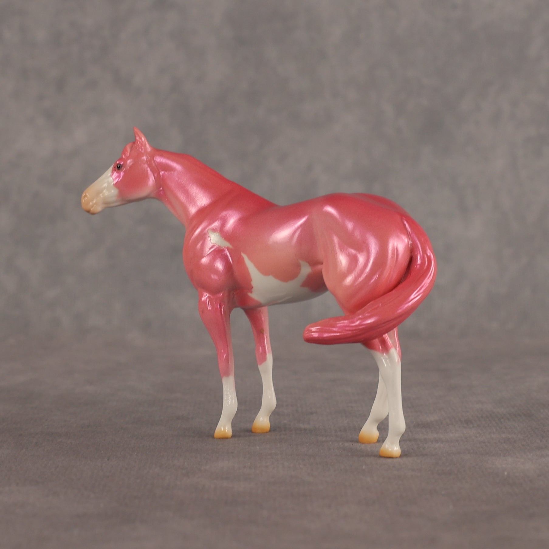 Baby OOAK FCM Chip Stock Horse by Erin Corbett EQ26