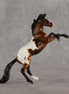 Bad Luck Bear OOAK Chip Mustang by Anna Rieck LHS26