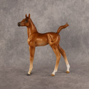 Badia OOAK FCM Arabian Foal by Kristen Cermele GS26
