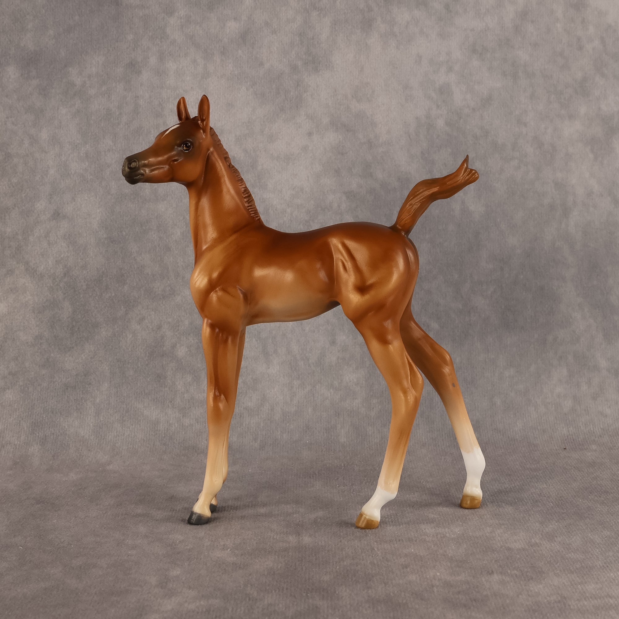 Badia OOAK FCM Arabian Foal by Kristen Cermele GS26