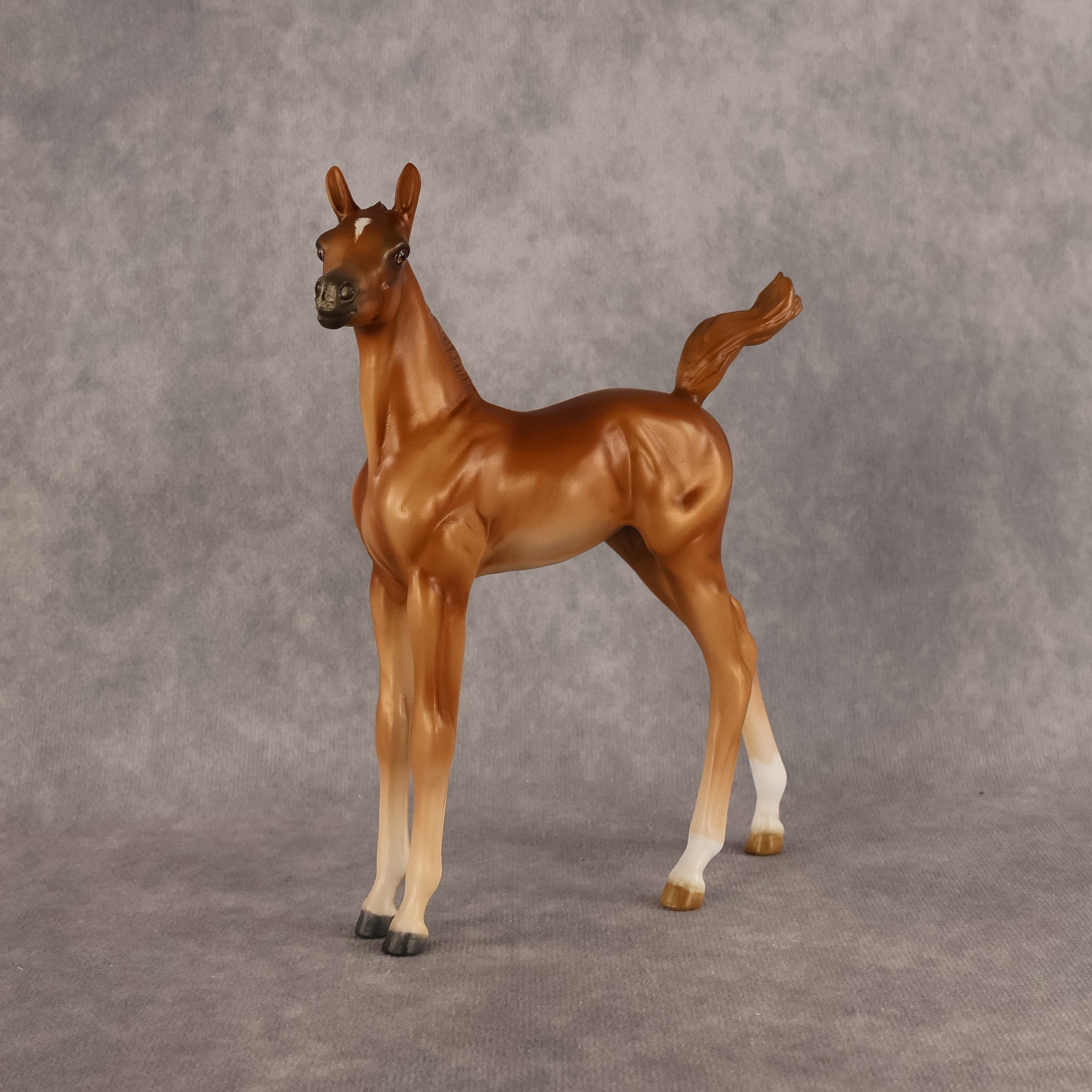 Badia OOAK FCM Arabian Foal by Kristen Cermele GS26