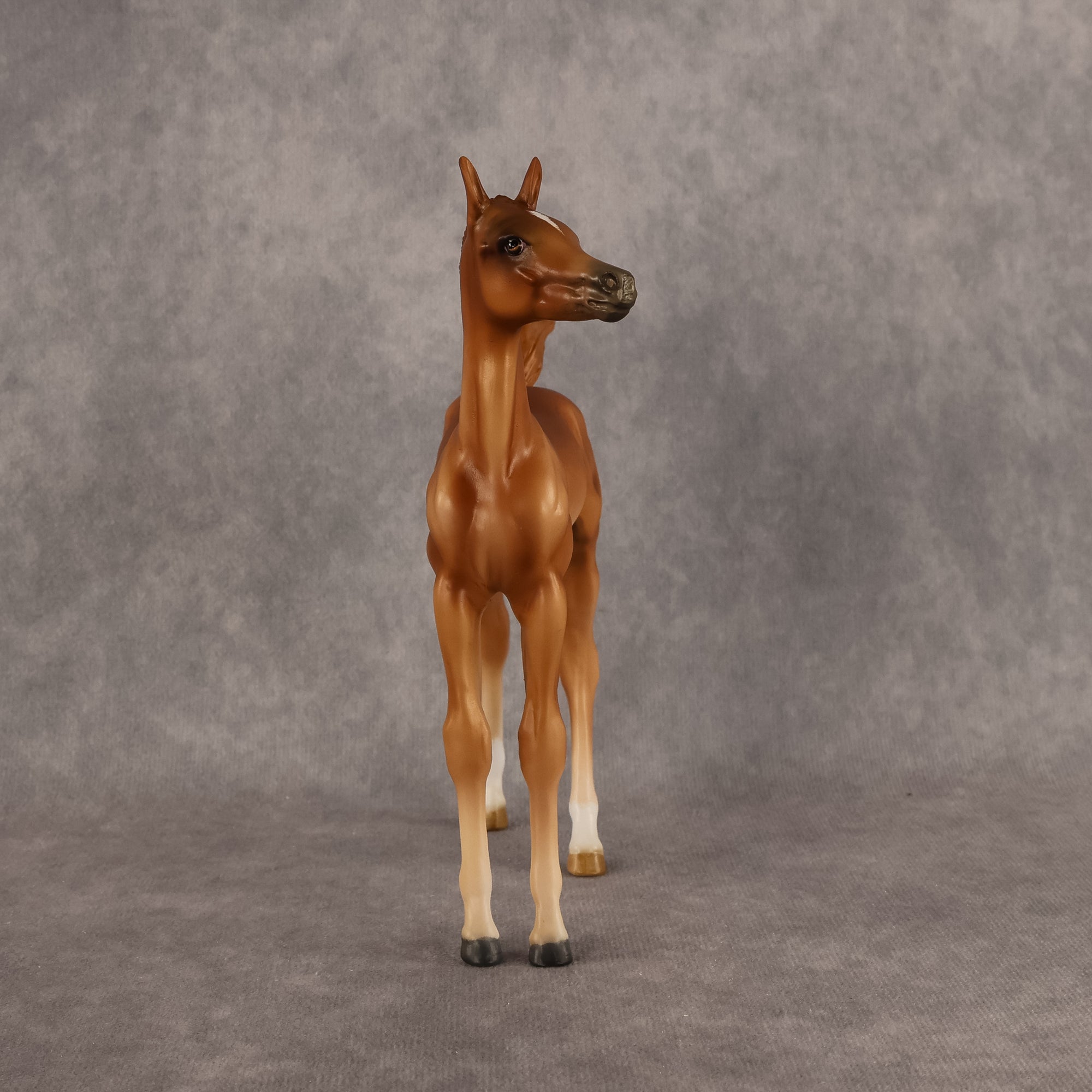 Badia OOAK FCM Arabian Foal by Kristen Cermele GS26