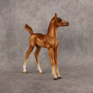 Badia OOAK FCM Arabian Foal by Kristen Cermele GS26