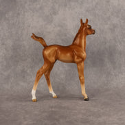 Badia OOAK FCM Arabian Foal by Kristen Cermele GS26