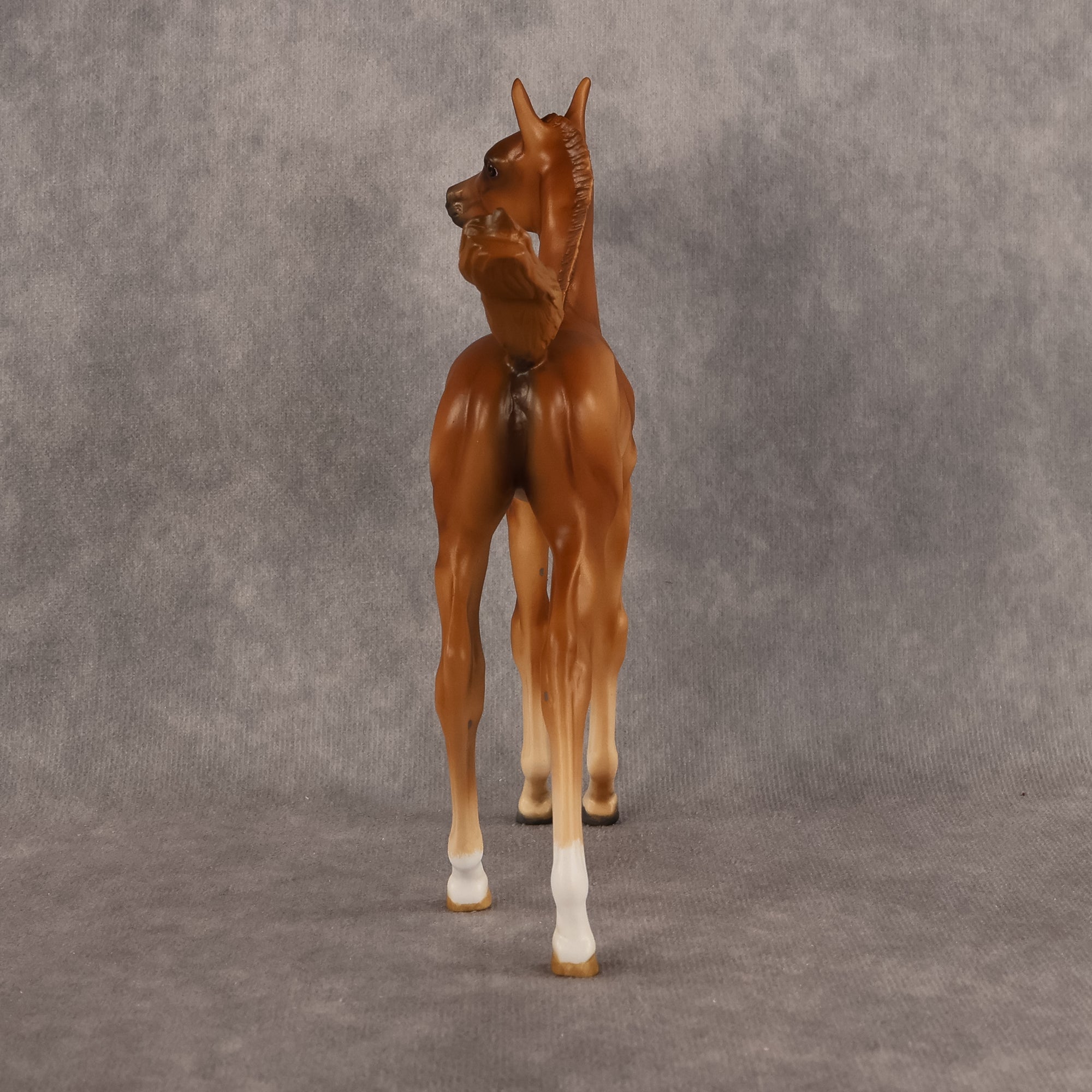 Badia OOAK FCM Arabian Foal by Kristen Cermele GS26