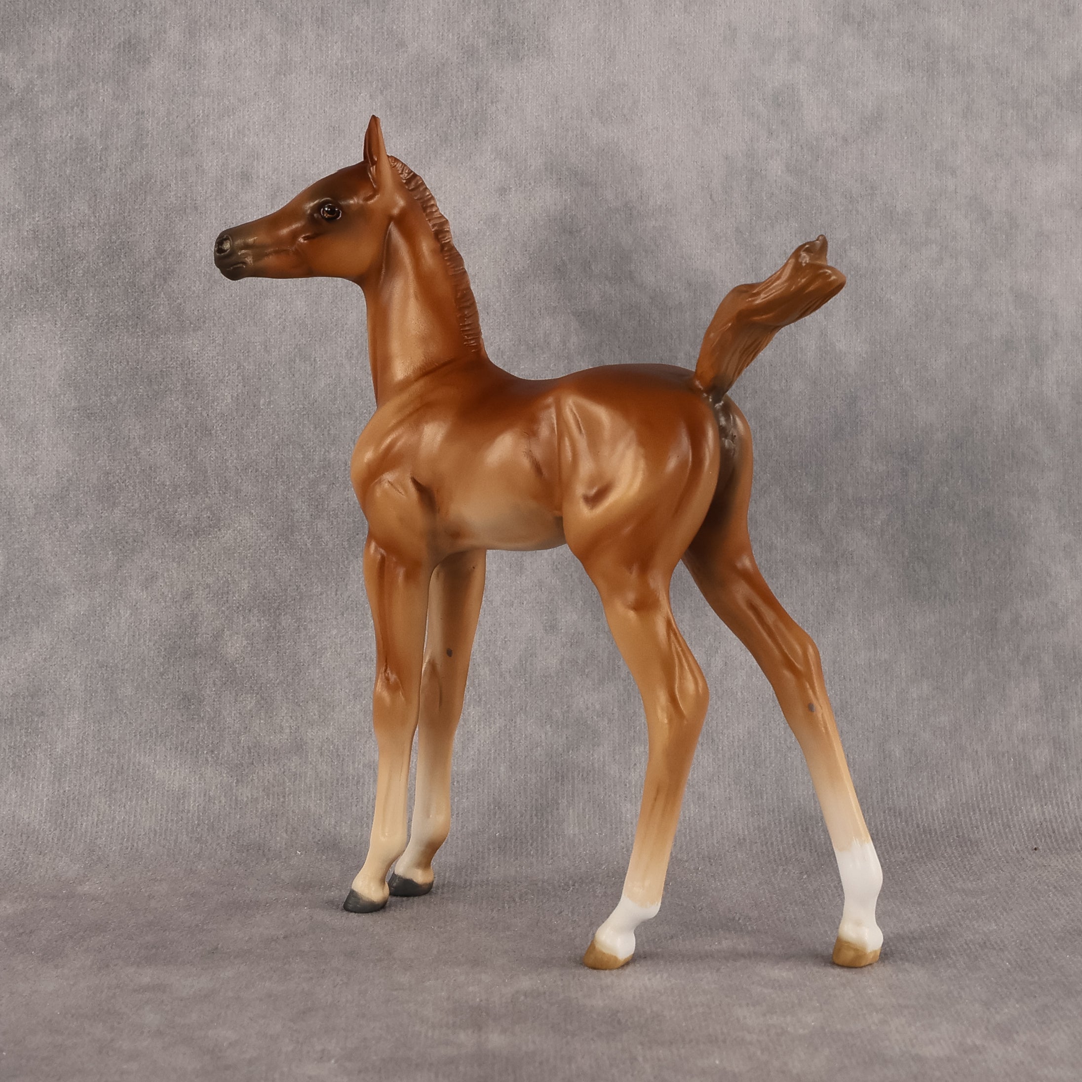 Badia OOAK FCM Arabian Foal by Kristen Cermele GS26