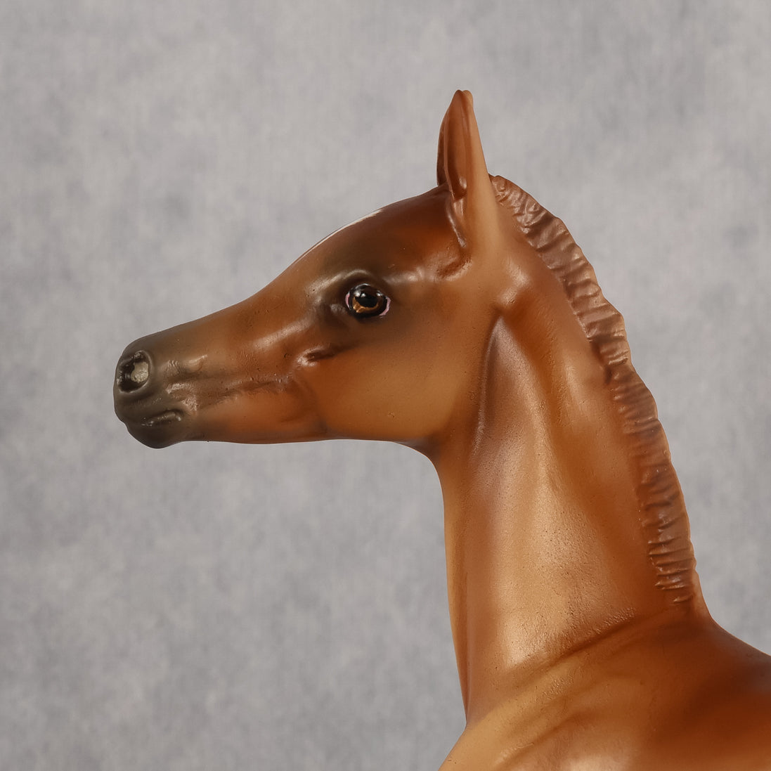 Badia OOAK FCM Arabian Foal by Kristen Cermele GS26