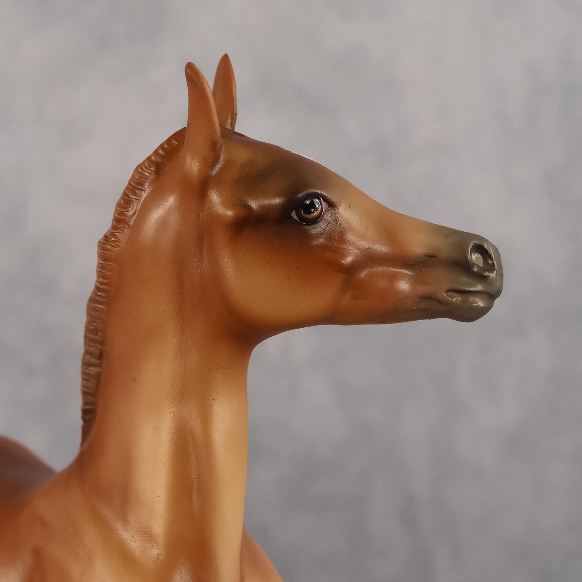 Badia OOAK FCM Arabian Foal by Kristen Cermele GS26