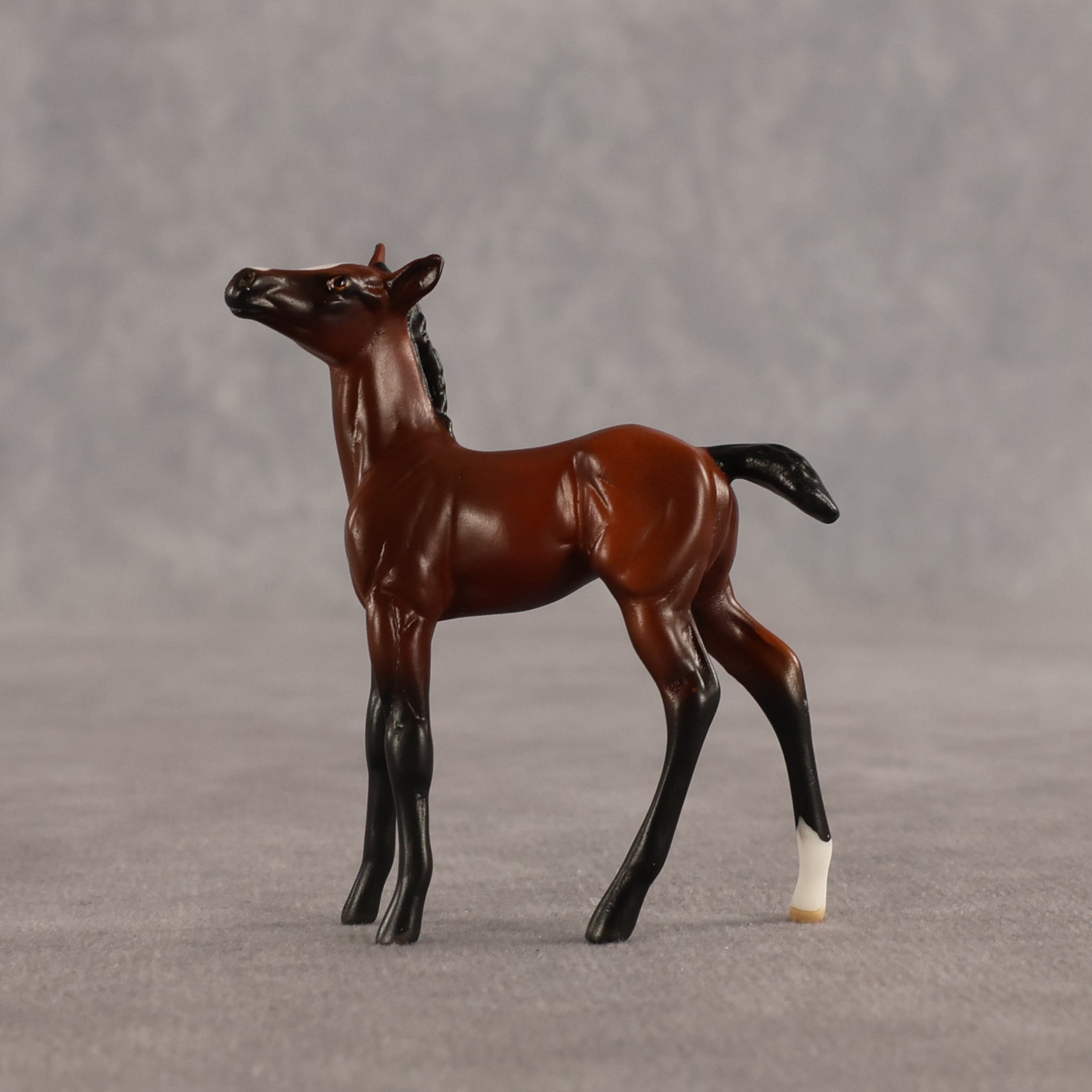 Cowgirl & Bandit OOAK Chip FCM Stock Horse & Chip Foal by Anna Rieck SCD26