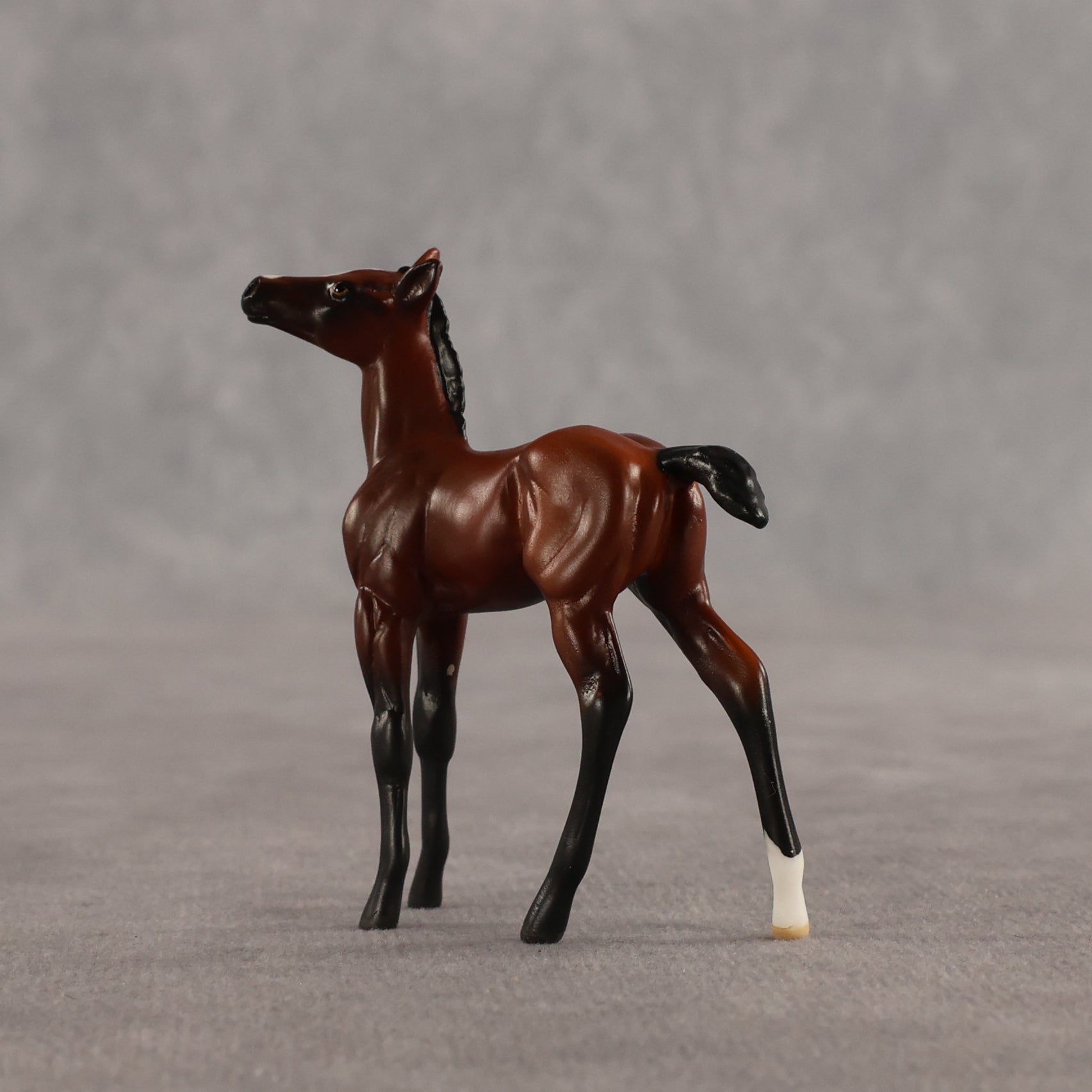 Cowgirl & Bandit OOAK Chip FCM Stock Horse & Chip Foal by Anna Rieck SCD26