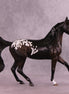 Banshee  OOAK Arabian Mare by Anna Rieck MM25 Group A