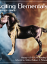 Baraq LE-15 FCM Standing Drafter by Ashley Palmer & Melanie Miller EL26