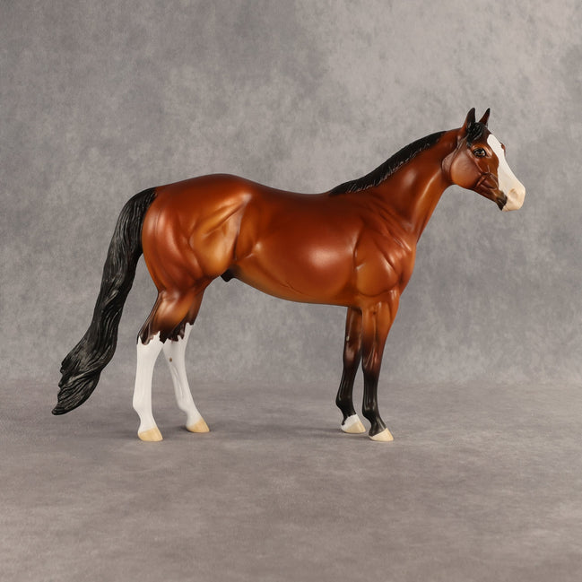 Barbecue Sauce OOAK Ideal Stock Horse by Dawn Quick SHCF26