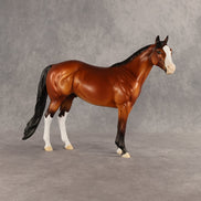 Barbecue Sauce OOAK Ideal Stock Horse by Dawn Quick SHCF26