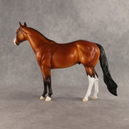 Barbecue Sauce OOAK Ideal Stock Horse by Dawn Quick SHCF26