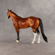 Barbecue Sauce OOAK Ideal Stock Horse by Dawn Quick SHCF26