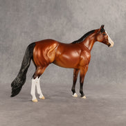 Barbecue Sauce OOAK Ideal Stock Horse by Dawn Quick SHCF26