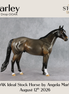 Barley OOAK Ideal Stock Horse by Angela Marleau DDOOAKs26