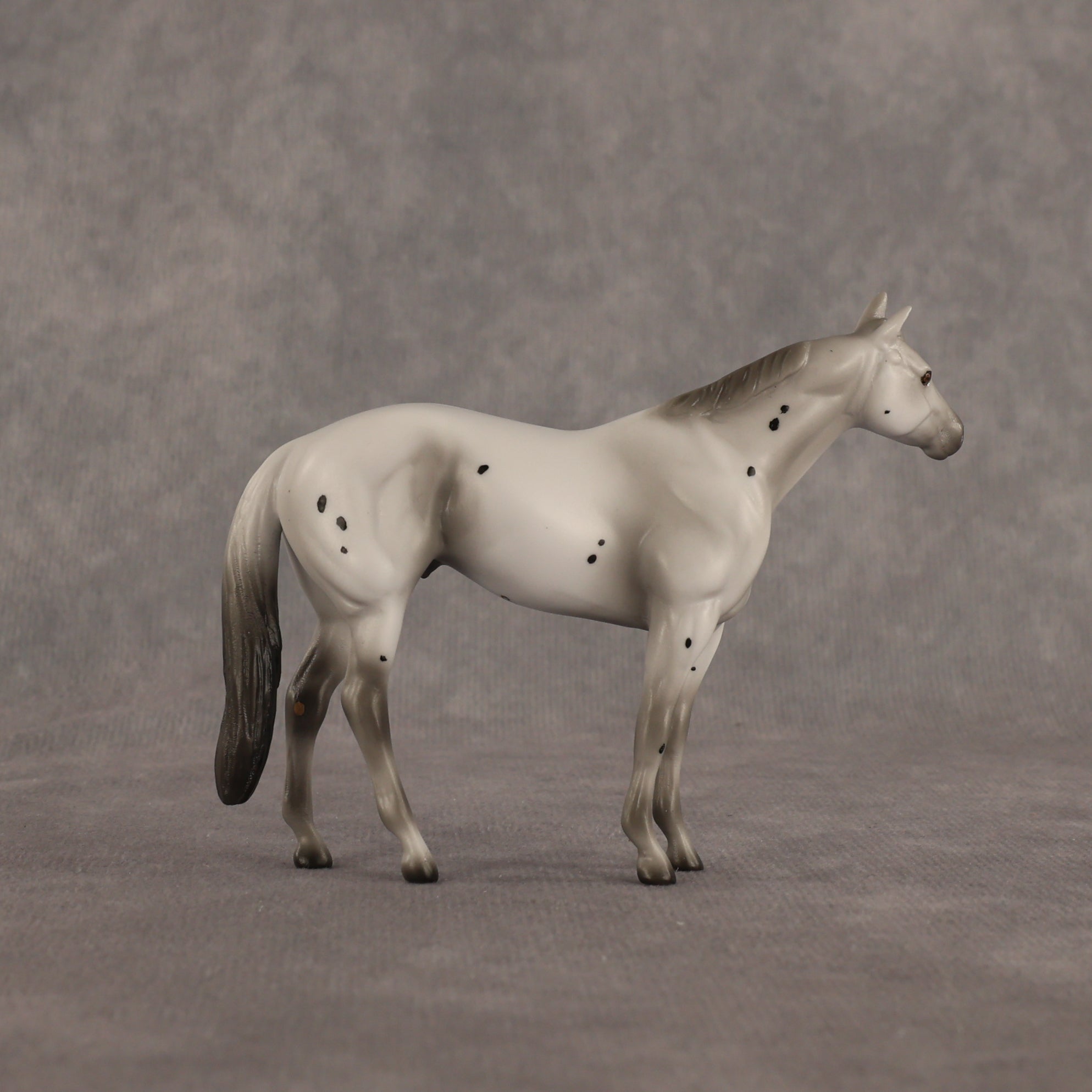 Bartholomew OOAK Chip Stock Horse by Madi Wiseman EQ26