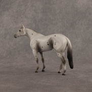 Bartholomew OOAK Chip Stock Horse by Madi Wiseman EQ26