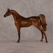 Basma OOAK FCM Chip Arabian by Kristen Cermele GS26