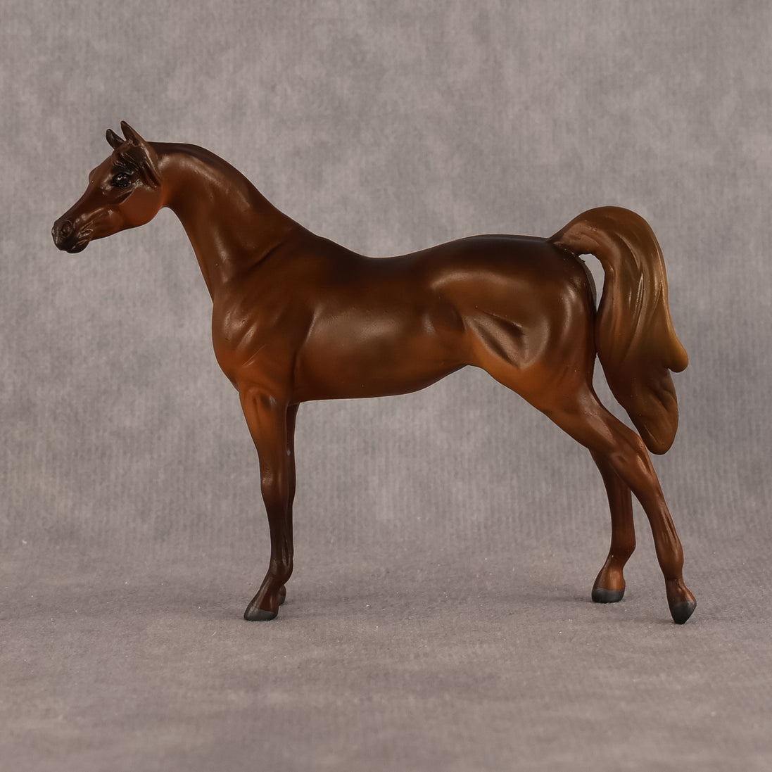 Basma OOAK FCM Chip Arabian by Kristen Cermele GS26