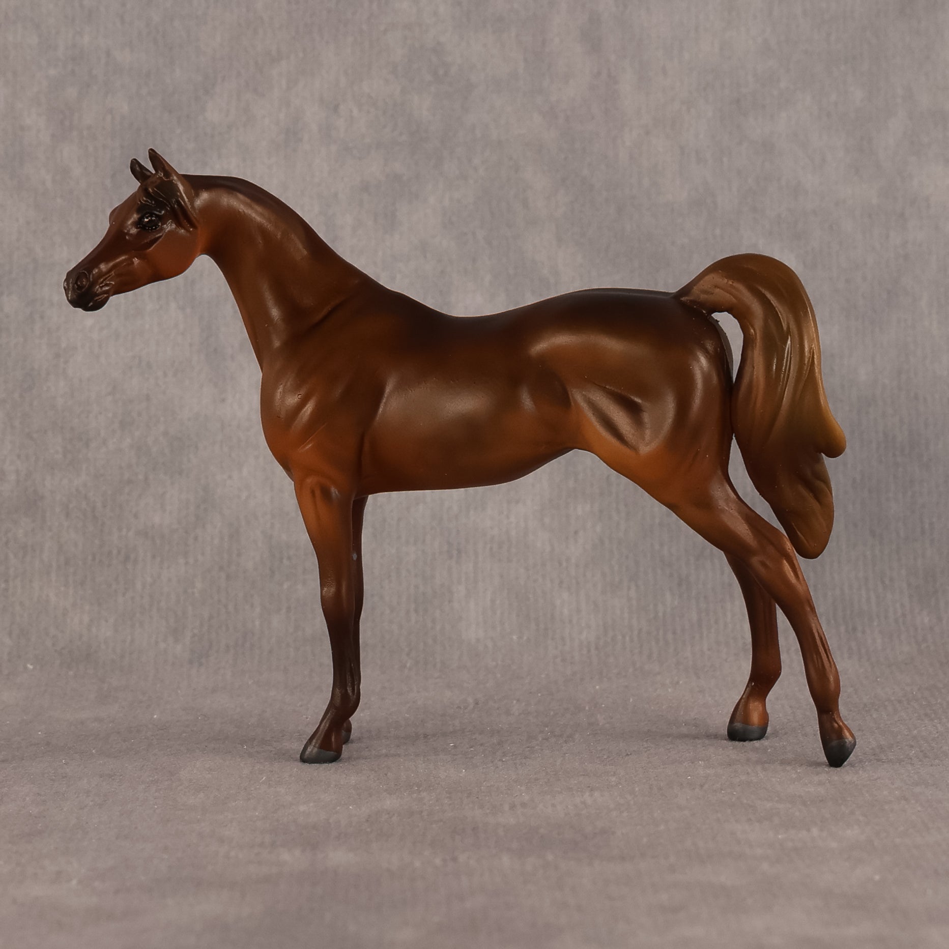 Basma OOAK FCM Chip Arabian by Kristen Cermele GS26