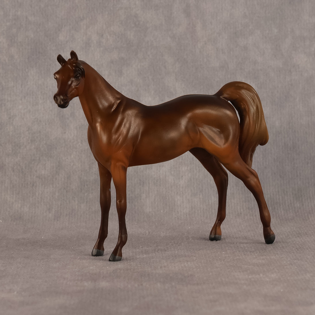 Basma OOAK FCM Chip Arabian by Kristen Cermele GS26