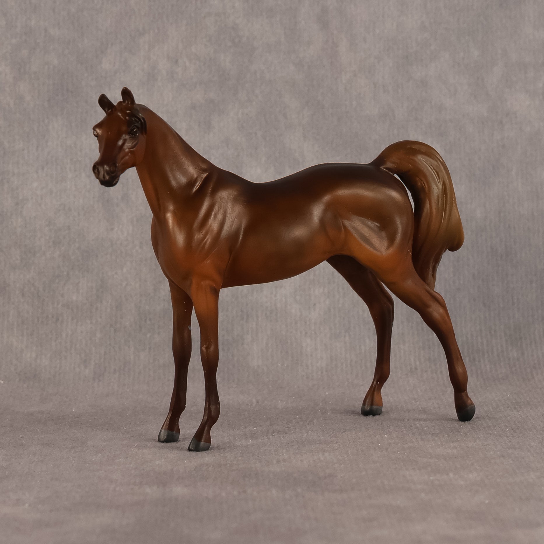 Basma OOAK FCM Chip Arabian by Kristen Cermele GS26
