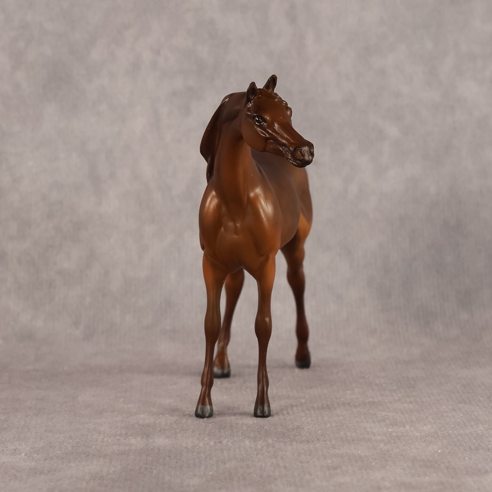 Basma OOAK FCM Chip Arabian by Kristen Cermele GS26