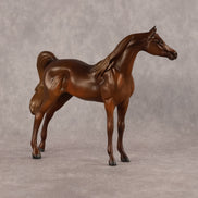 Basma OOAK FCM Chip Arabian by Kristen Cermele GS26