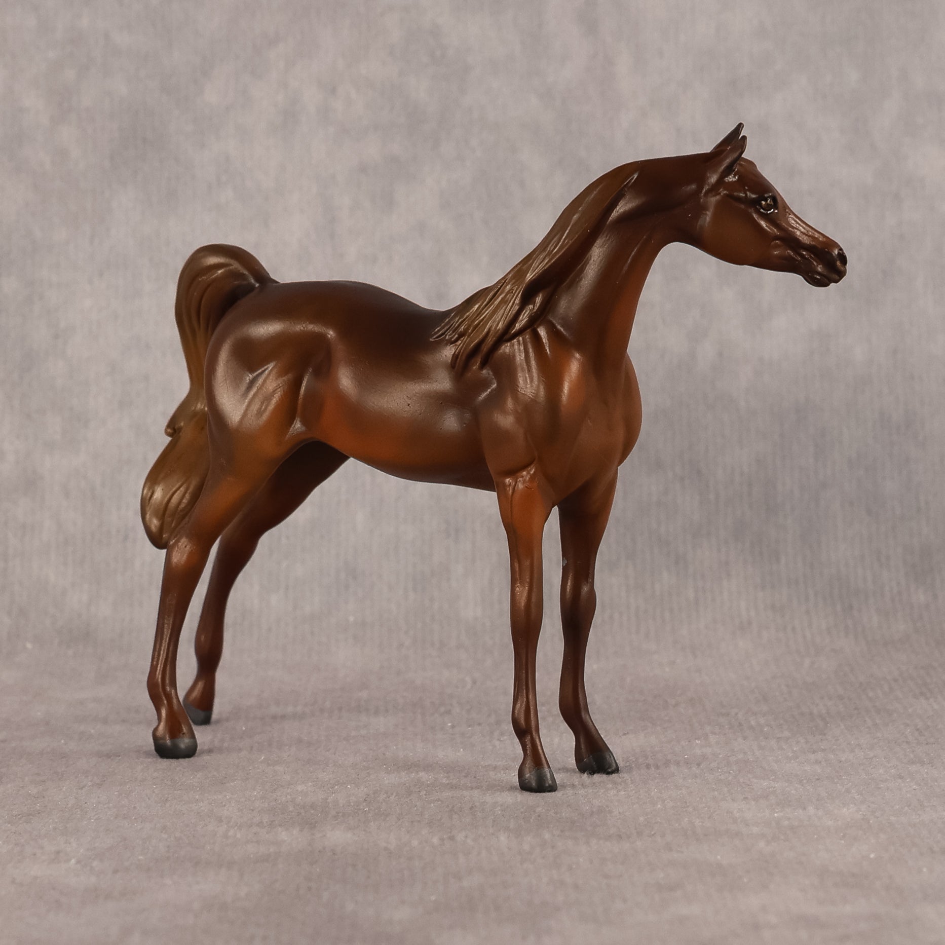 Basma OOAK FCM Chip Arabian by Kristen Cermele GS26