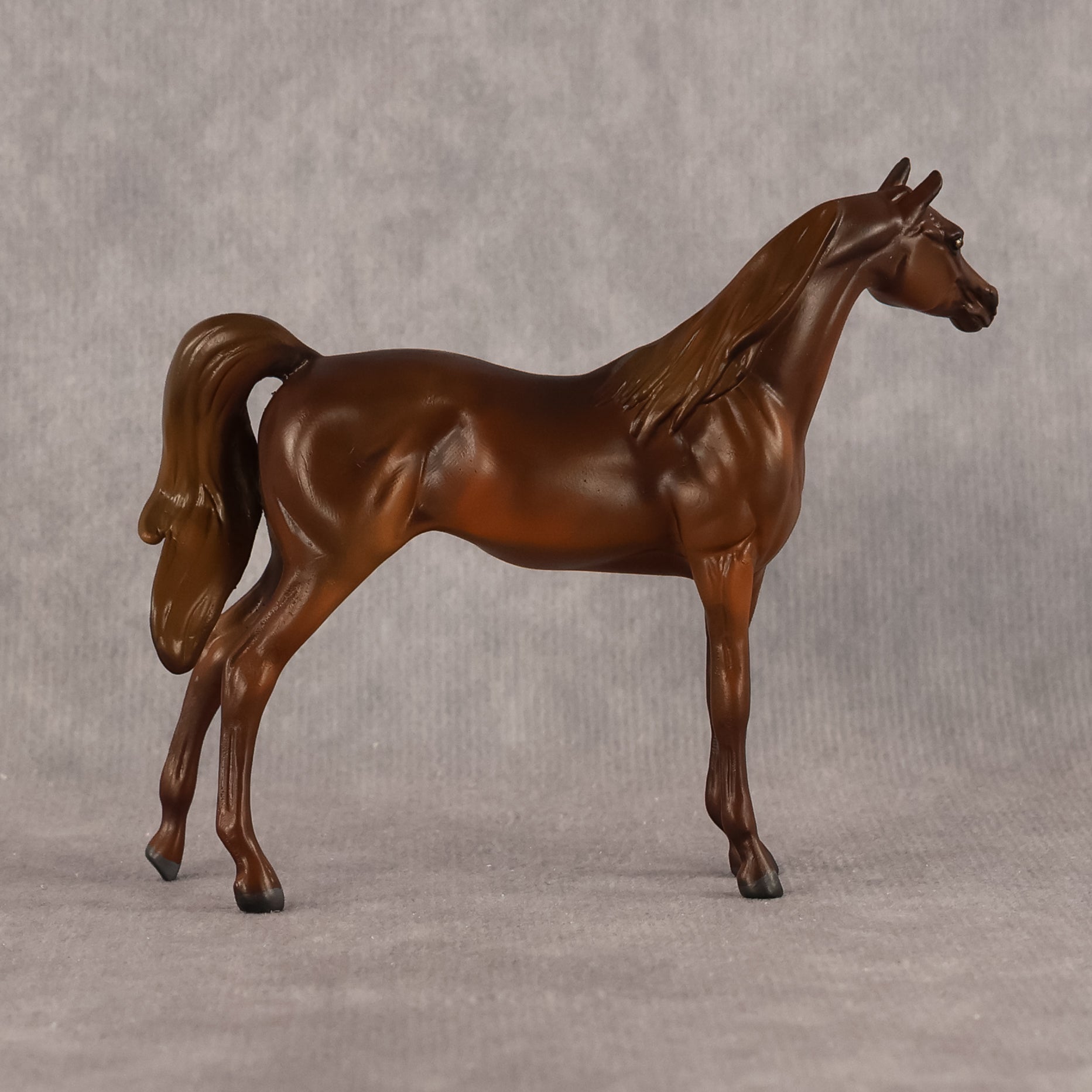 Basma OOAK FCM Chip Arabian by Kristen Cermele GS26