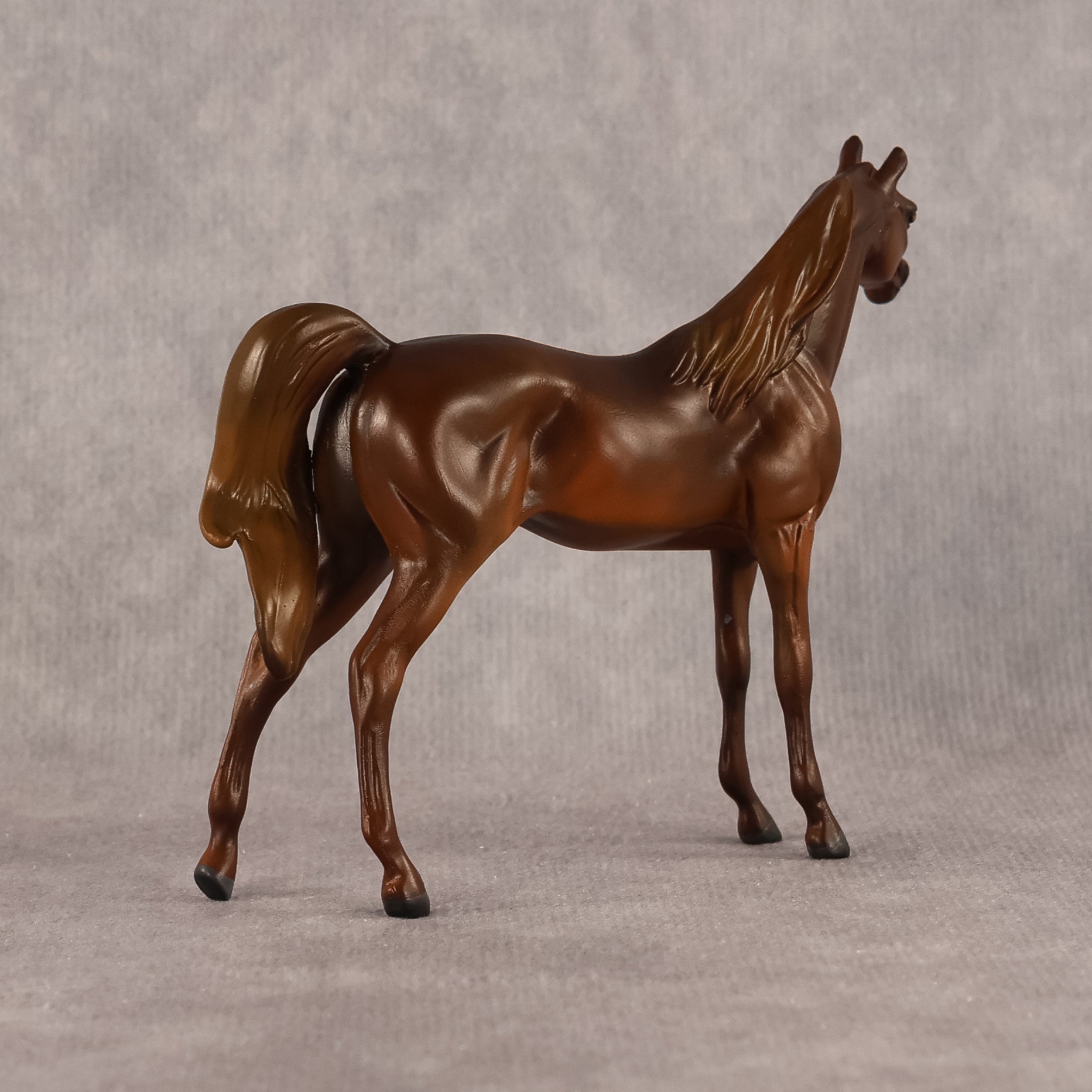Basma OOAK FCM Chip Arabian by Kristen Cermele GS26