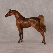 Basma OOAK FCM Chip Arabian by Kristen Cermele GS26