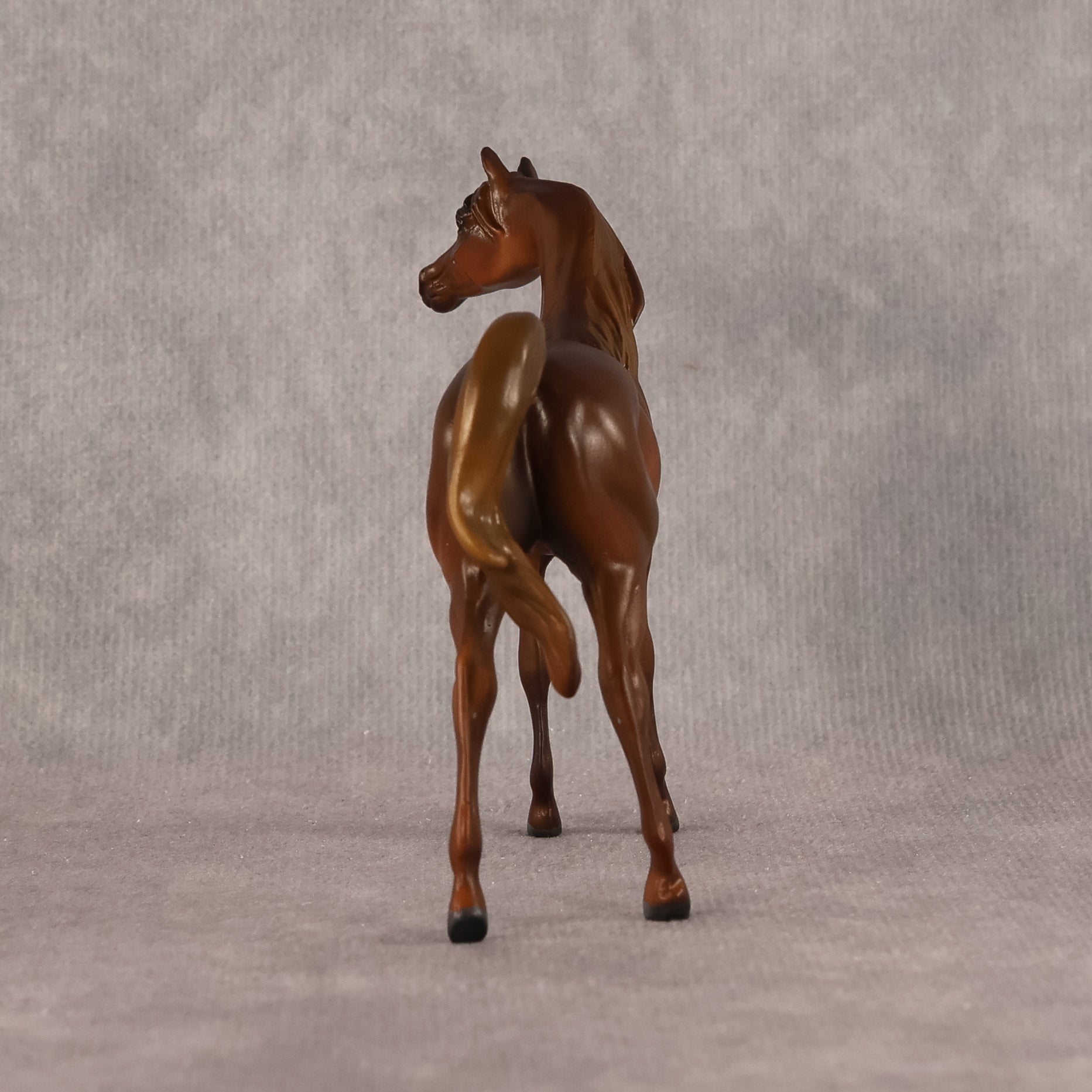 Basma OOAK FCM Chip Arabian by Kristen Cermele GS26