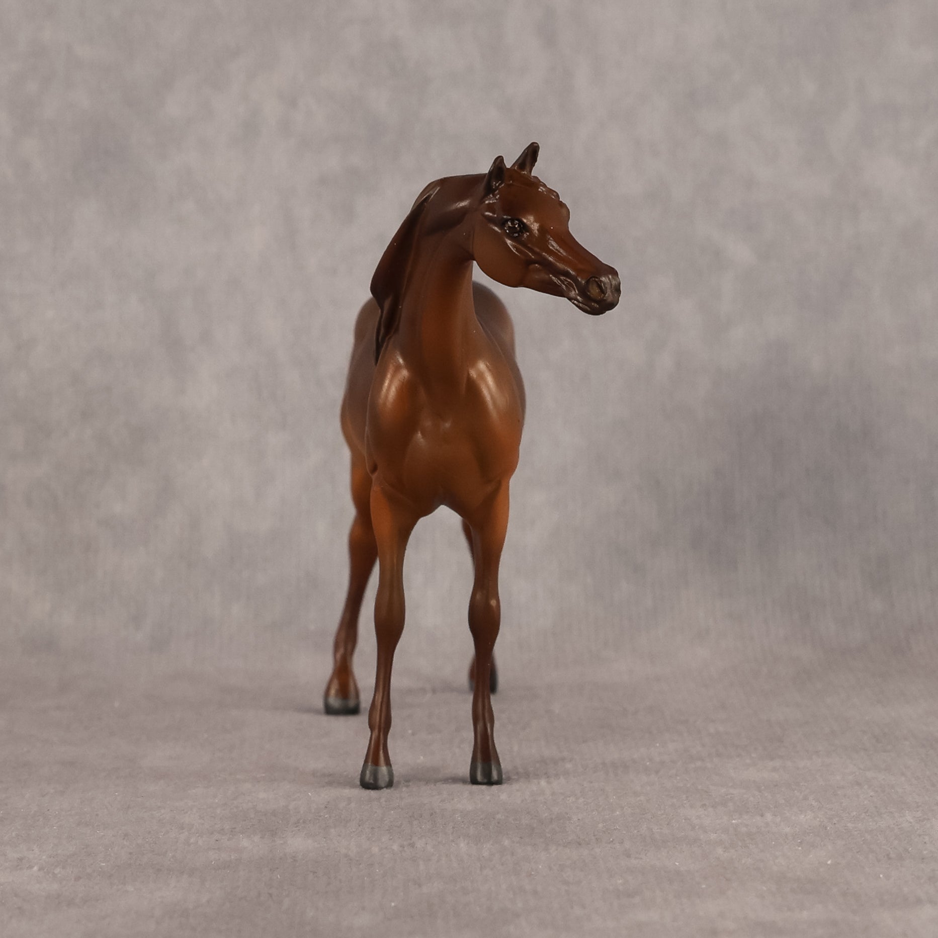 Basma OOAK FCM Chip Arabian by Kristen Cermele GS26