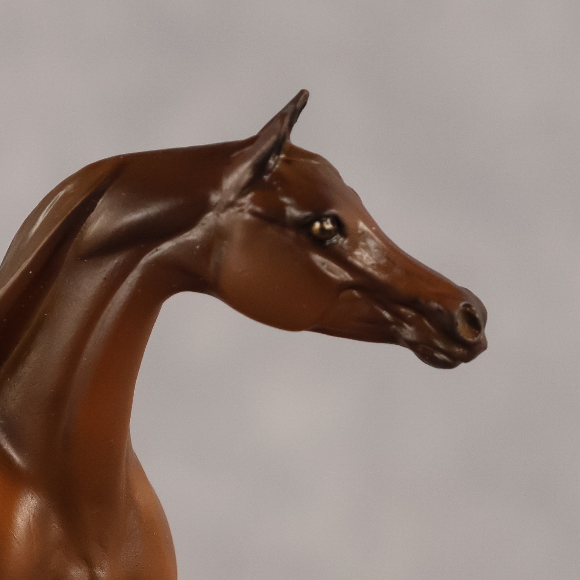 Basma OOAK FCM Chip Arabian by Kristen Cermele GS26