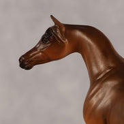 Basma OOAK FCM Chip Arabian by Kristen Cermele GS26