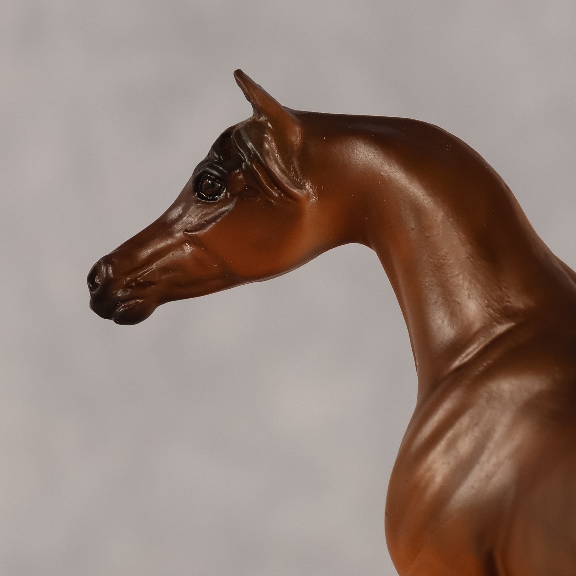 Basma OOAK FCM Chip Arabian by Kristen Cermele GS26