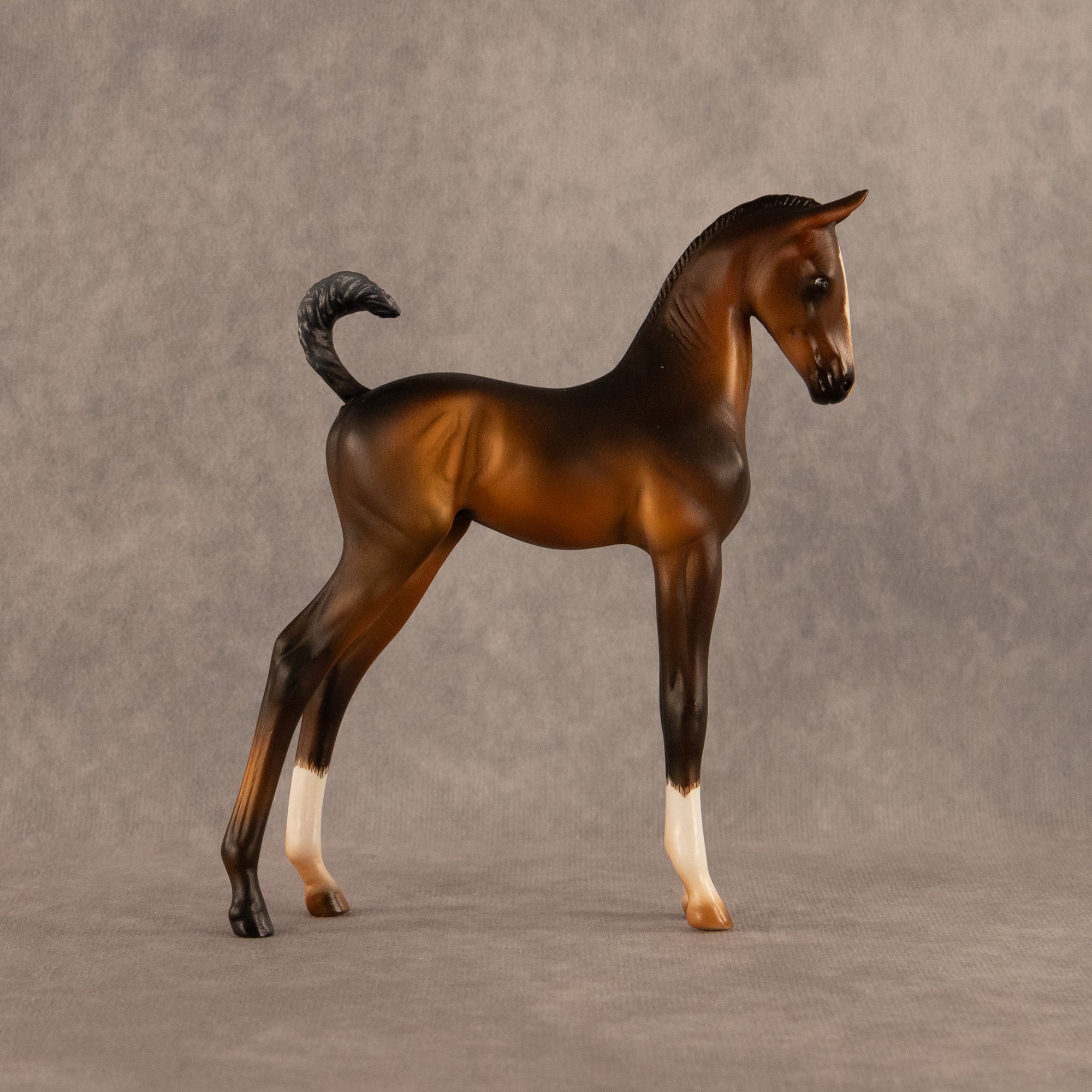 Bayside OOAK EFCM Arabian Foal by Carly Kudalis Offer 6.30.2026
