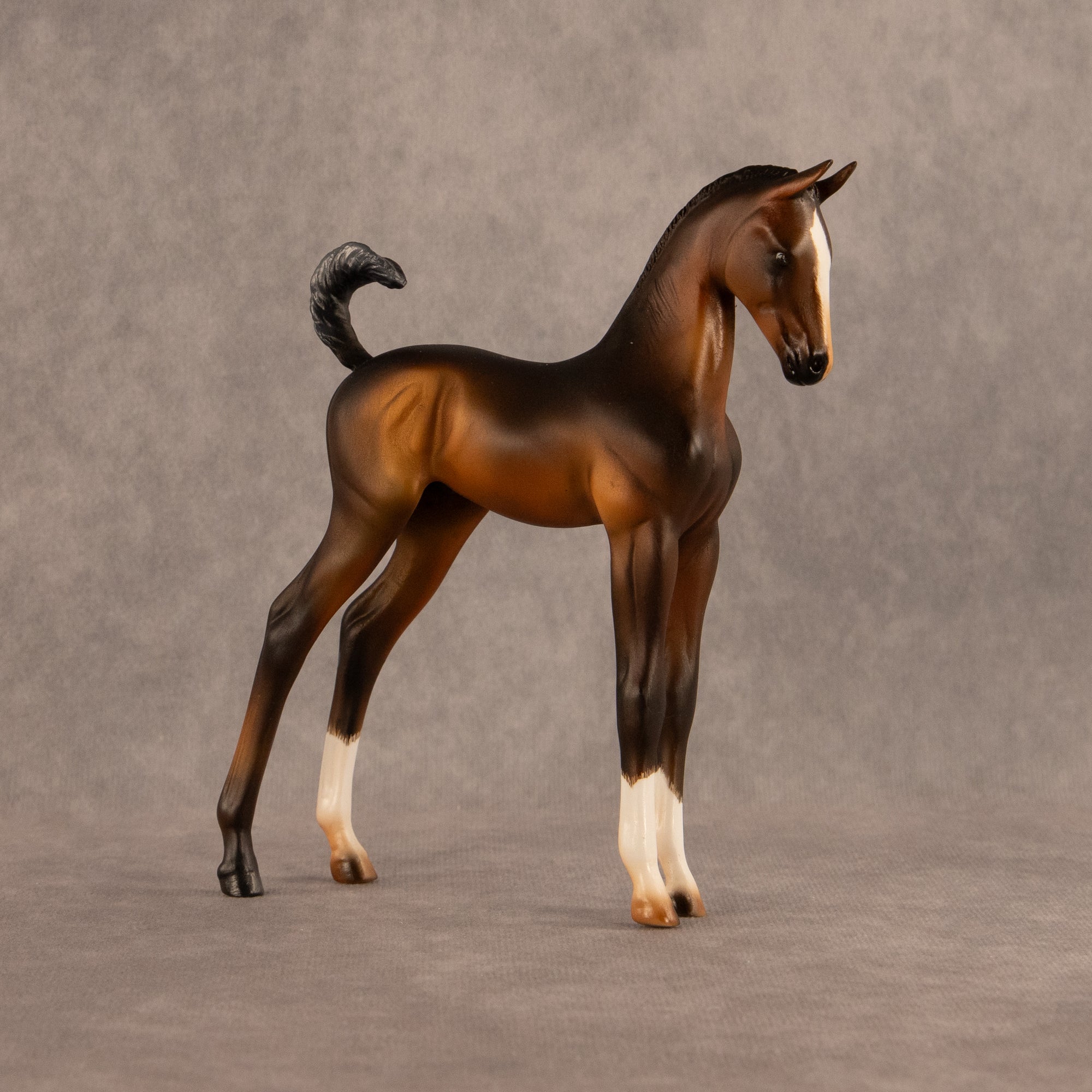 Bayside OOAK EFCM Arabian Foal by Carly Kudalis Offer 6.30.2026