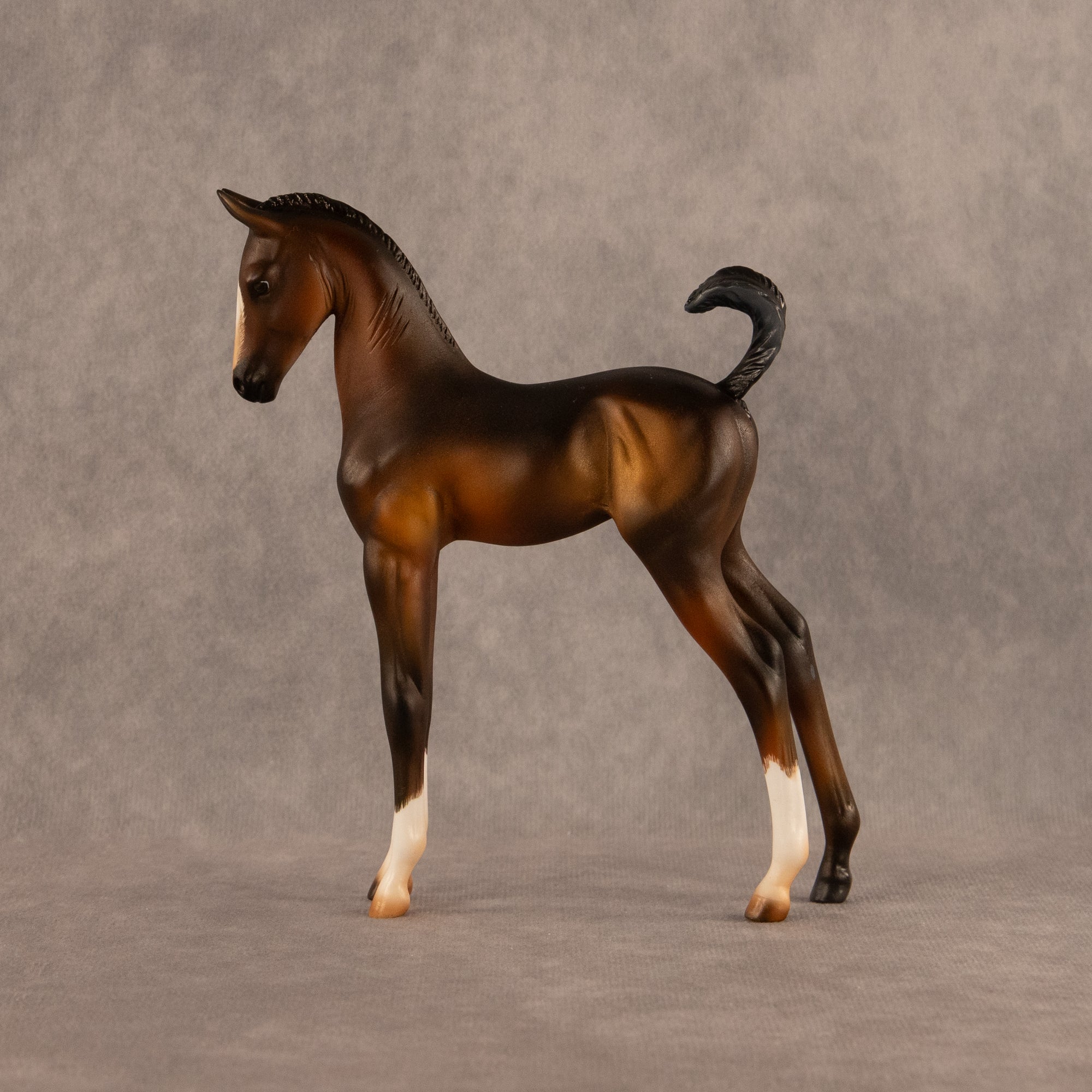 Bayside OOAK EFCM Arabian Foal by Carly Kudalis Offer 6.30.2026