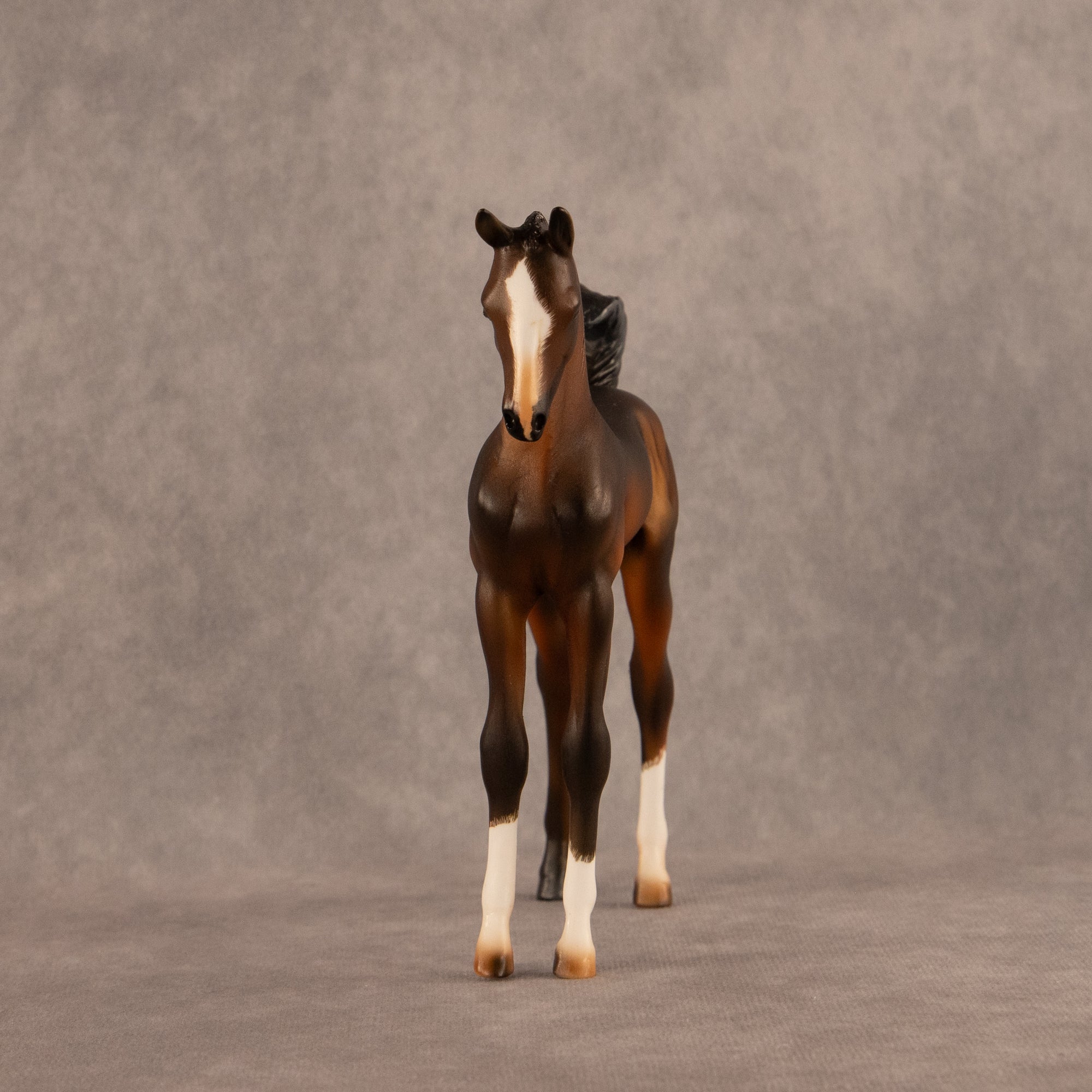 Bayside OOAK EFCM Arabian Foal by Carly Kudalis Offer 6.30.2026