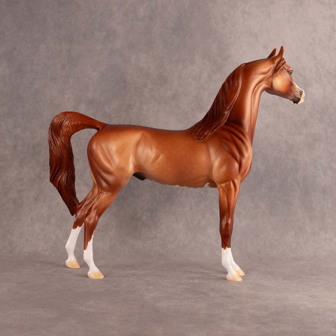 Be Bop Flock OOAK Arabian Stallion by Dawn Quick DDOOAKs26