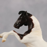 Bearcat OOAK EFCM Chip Mustang by Kristen Cermele Best Offer 9.22.2026
