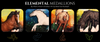 Art of the Horse Glossy Elemental Chips Set LE-10 Chip Sets by Anna Rieck EQ25