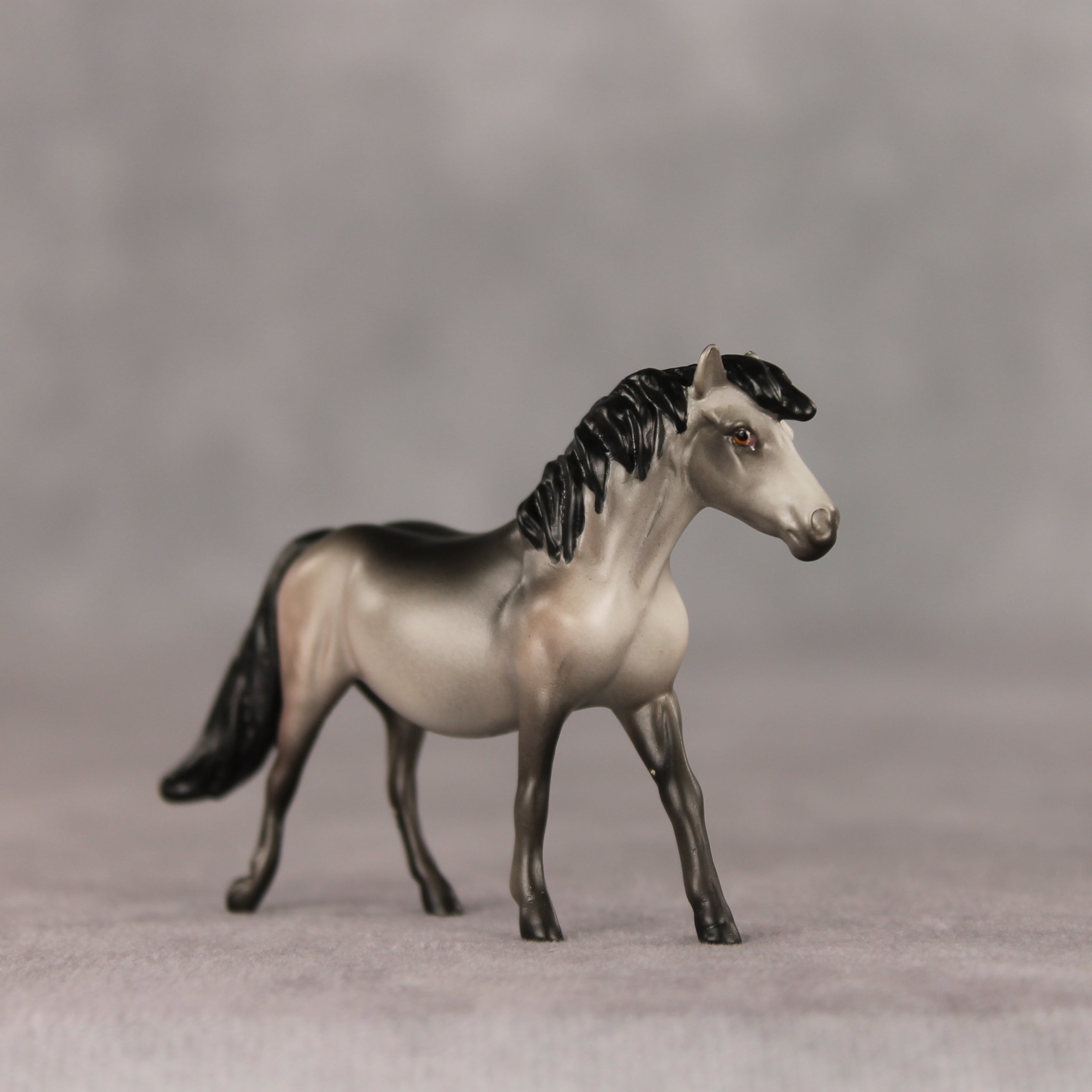 Beau OOAK Chip Pony by Anna Rieck VV26